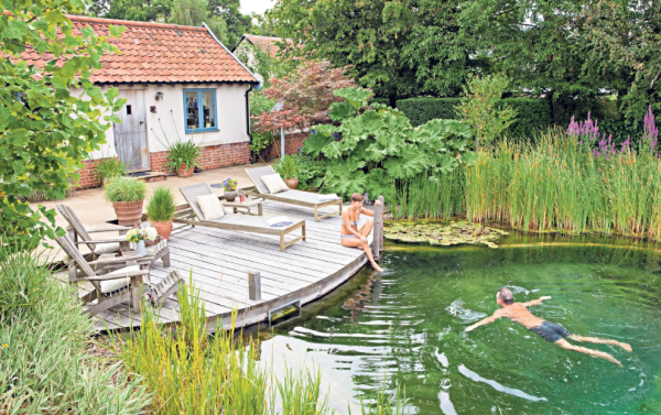 Taman alami dengan tanaman liar dan kolam renang alami